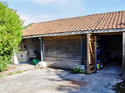 barn2.jpg